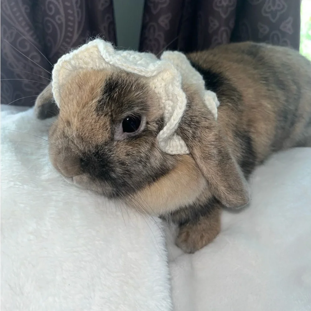 Pet handmade hat. Perfect for bunnies, cats & small dogs.